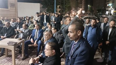 وقفة تضامنية مع محاميي مطروح تزامنا مع اجتماع رموز المهنة (فيديو)