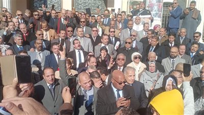 وقفة تضامنية لوفد محامي شمال القاهرة أمام محكمة مطروح (صور)