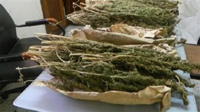 القبض على عاطل بحوزته 4.5 كيلو بانجو في عين شمس 