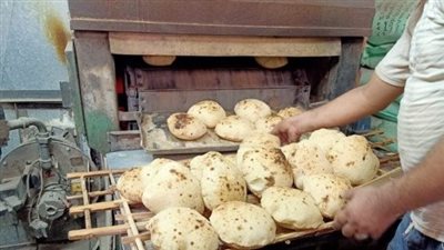 كارت الخبز، شعبة المخابز تكشف آخر تطورات تحديد سعر رغيف الخبز بالمنظومة الجديدة