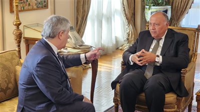 سامح شكرى: موقف مصر ثابت بشأن القضية الفلسطينية 