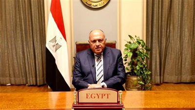 سامح شكري يكشف تفاصيل لقاء وزير الخارجية الإيطالي مع الرئيس السيسي (فيديو)