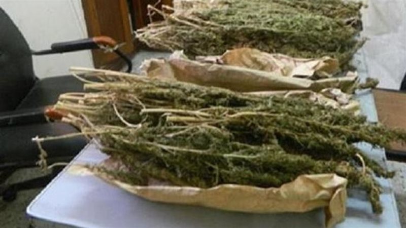 بانجو، فيتو