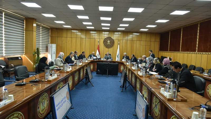 حسن شحاتة وزير القوى