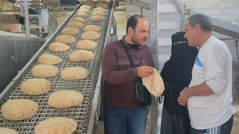 حملات تموينية بالدقهلية،