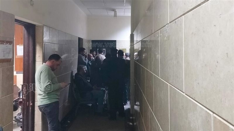 محامين مطروح، فيتو