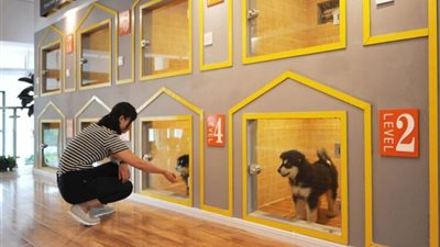  فندق الحيوانات الأليفة، سعر الليلة الواحدة 1000 يوان صيني