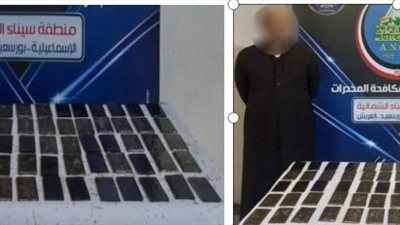 ضبط أدوية محظورة وحشيش ومنشطات داخل مخزن بالأميرية