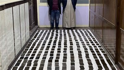 ضبط عناصر إجرامية بالإسكندرية وبحوزتهم 625 طربة حشيش 