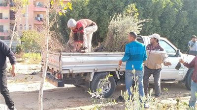 3000 شجرة لجهاز 6 أكتوبر من مطرانية الأنبا دوماديوس(صور)