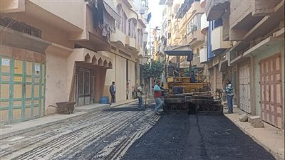 رصف وتطوير شوارع منية دمياط ورفع كفاءة الطرق (صور)