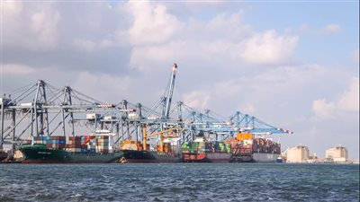 تداول 23 سفينة بضائع متنوعة بميناء دمياط