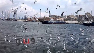 شاهد جولة بحرية من بور سعيد لـ 