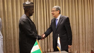 وزير الكهرباء يبحث التعاون المشترك مع نظيره النيجيري 