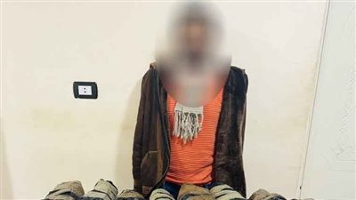 حبس عنصر إجرامي بتهمة حيازة وإحراز مواد مخدرة وسلاح ناري بالشرقية 
