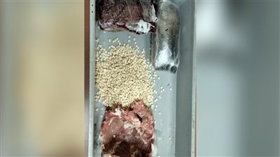إحباط تهريب عقاقير مخدرة داخل لحوم مجمدة بميناء القاهرة الجوى