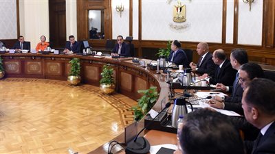 مجلس الوزراء: 78 جنسية يمكنها الحصول على التأشيرة السياحية لمصر إلكترونيًا