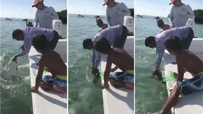 حاول مداعبة صغير القرش فكانت النهاية مؤلمة (فيديو)