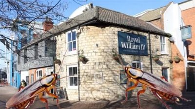 طاهٍ يطلق 20 صرصورا في مطعم ببريطانيا بسبب خلاف على الأجر