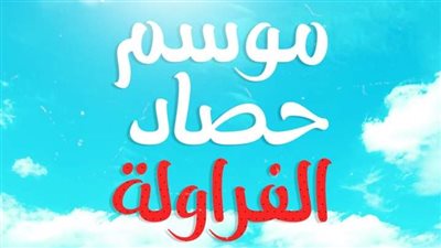 موسم حصاد الفراولة، مصر تحتل المركز الأول في تصدير الفراولة المجمدة (إنفوجراف)