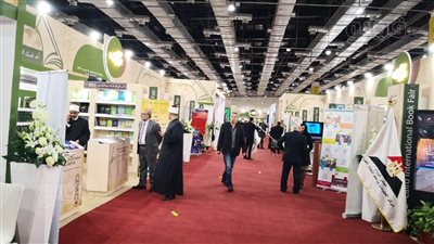 جولة فيتو في معرض الكتاب قبل الافتتاح الرسمي (صور) 