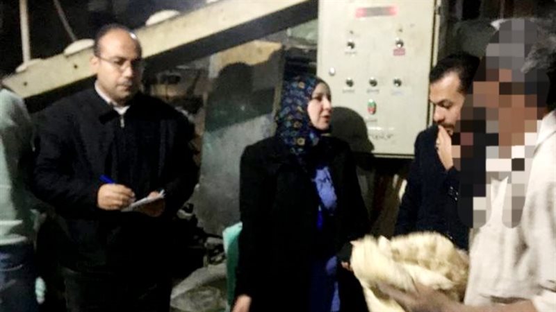 حملات تموينية بالدقهلية،