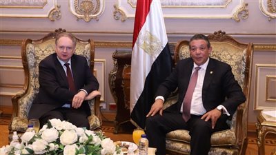 تفاصيل لقاء رئيس خارجية الشيوخ وسفير الاتحاد الأوروبي بمصر 