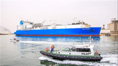 تداول 27 سفينة بضائع متنوعة في ميناء دمياط