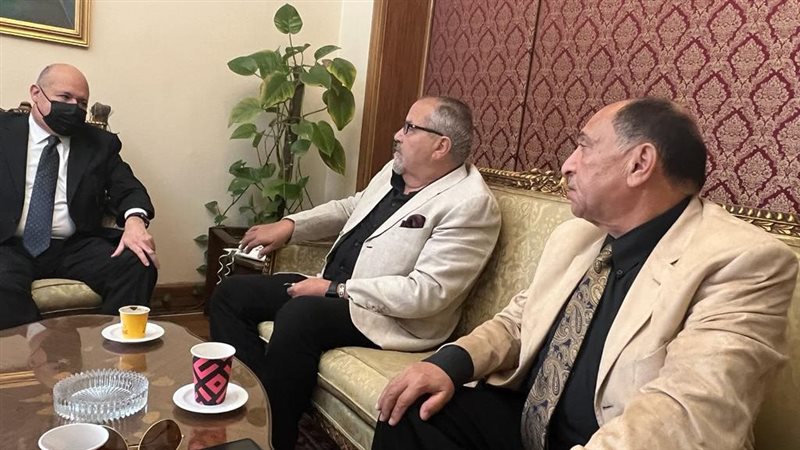اتحاد المصريين بالخارج،