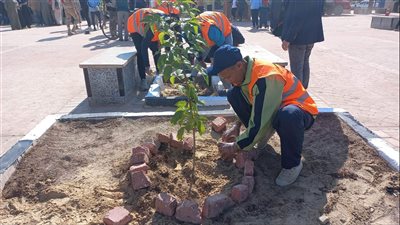 مبادرة لإعادة الحياة لطبيعتها بمشاركة مؤسسات المجتمع المدني في العريش (فيديو)