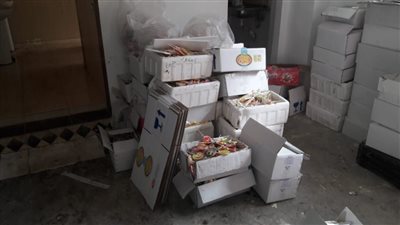ضبط مصنع حلويات فاسدة للأطفال وسجائر مسرطنة بالغربية
