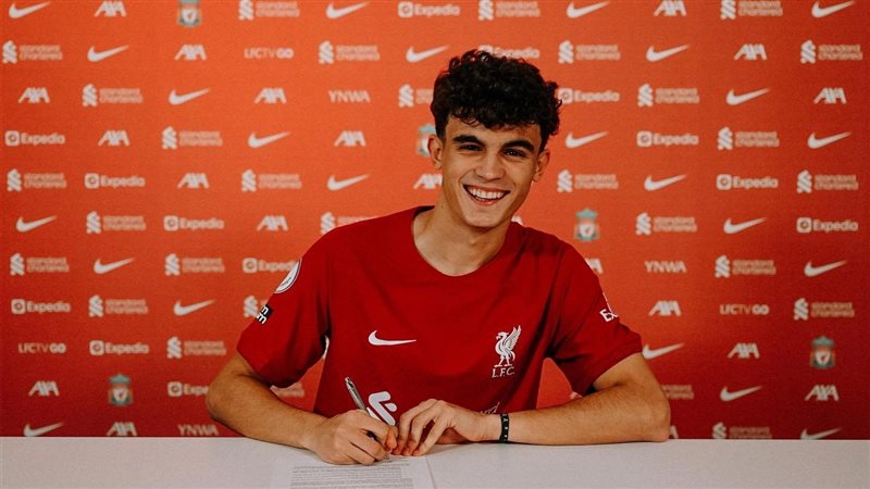 ستيفان بايشيتش،فيتو