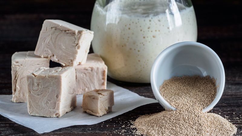 الخميرة البيرة وفوائدها،