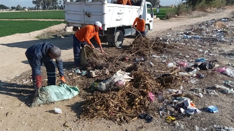 محافظه الاسكندريه،فيتو