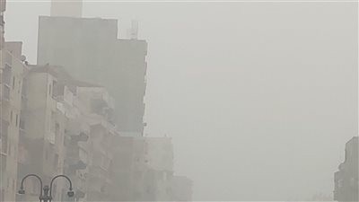 عاصفة ترابية تضرب الإسكندرية وتحذيرات لسائقي السيارات (صور)