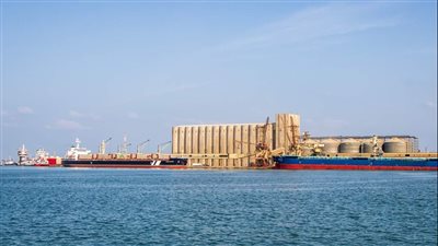 تداول 25 سفينة بضائع متنوعة داخل ميناء دمياط