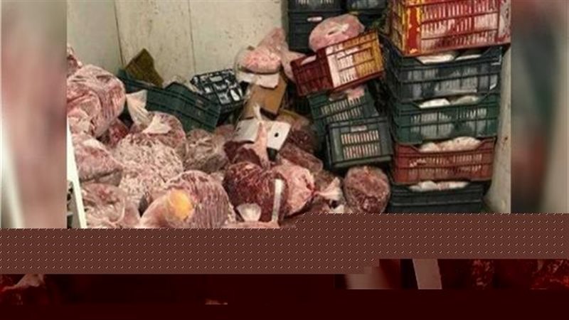 ضبط لحوم فاسدة بالجيزة،