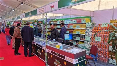 افتتاح 33 معرض أهلا رمضان في أحياء الجيزة أول فبراير