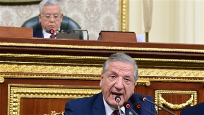 بدء مناقشة تقرير موازنة الدولة، ورئيس الخطة: فائض أولى لسداد فوائد الدين