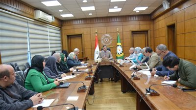 محافظ الدقهلية يناقش ترفيق منطقة ابن زيد والزعفران في المنصورة 