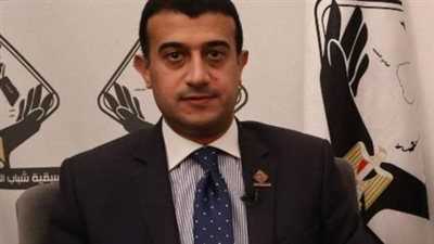  طارق الخولى: التنسيقية لديها ذراع وجناح دبلوماسي يقوم بدور مهم مع السفارات 