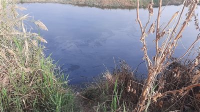 ظهور بقعة سولار أمام مأخذ محطة مياه المراغة بسوهاج (صور)