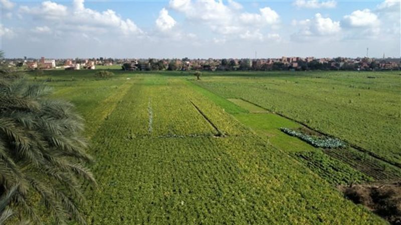 حالة الطقس فى المنوفية،