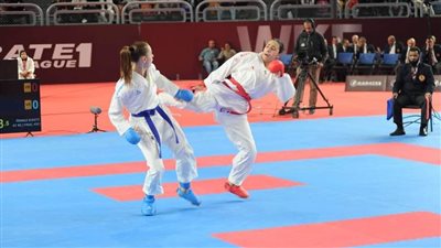 وزير الشباب والرياضة يهنئ منتخب الكاراتيه بحصد 13 ميدالية في بطولة الدوري العالمي