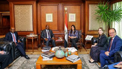 المشاط تناقش التوسع في أدوات التمويل التنموي للقطاع المالي والبنوك.. وتبحث إتاحة أدوات تحفيز مشاركة القطاع الخاص 