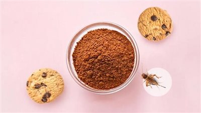 مسحوق الصراصير، مستخلص جديد يدخل في مجال الصناعات الغذائية 