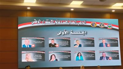 ضياء رشوان: على الدولة كشف الحقائق والمشاكل أمام الرأى العام 