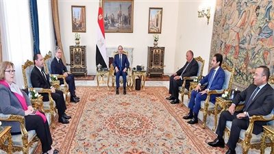السيسي يؤكد لوزير خارجية أمريكا أهمية العمل بشكل فوري لتهدئة الأوضاع بالأراضي الفلسطينية.. الرئيس: موقفنا ثابت بالتوصل إلى حل عادل وشامل 
