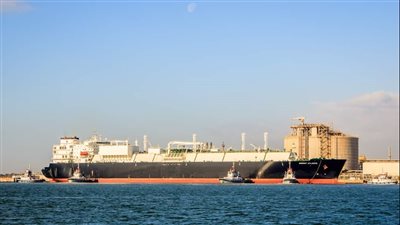 تداول 34 سفينة بضائع متنوعة بميناء دمياط 