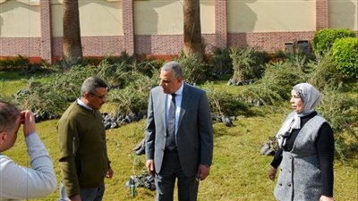 محافظ سوهاج يتفقد وصول 39 ألف شجرة جديدة (صور)